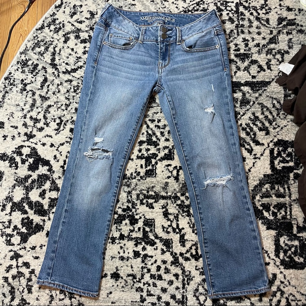 American Eagle Artist Crop Jeans